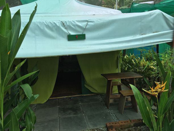 Imagen de la habitación del Hotel T Star Cottage. Foto 2