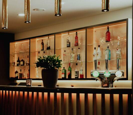 Imagen general del Hotel TERME VIVAT. Foto 11