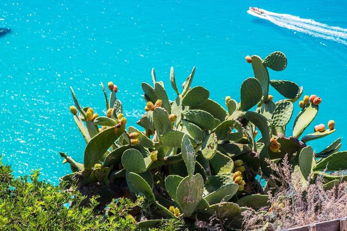 Imagen general del Hotel TH Capo Rizzuto - Asyla Resort. Foto 5