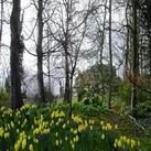 Imagen general del Hotel THE HILL COTTAGE. Foto 7