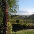 Imagen general del Hotel THE HILL COTTAGE. Foto 8