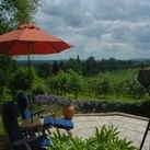 Imagen general del Hotel THE HILL COTTAGE. Foto 10