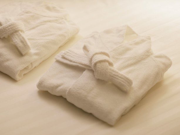 Imagen de la habitación del Hotel THE HOTEL SANRAKU KANAZAWA. Foto 16