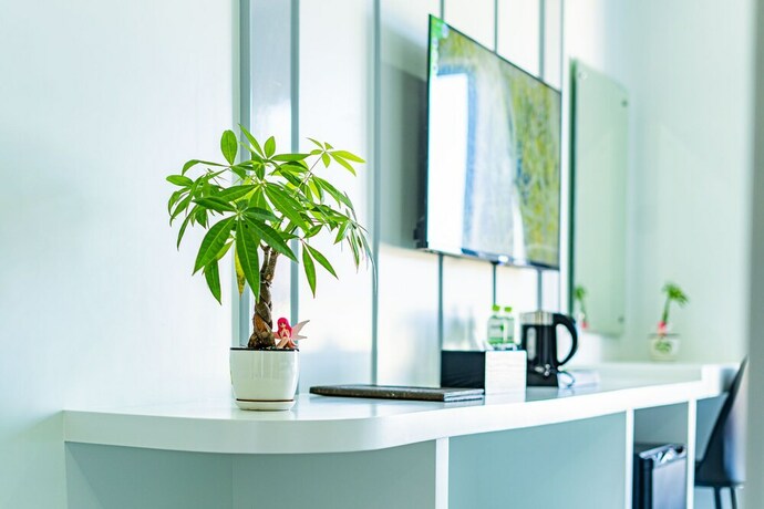 Imagen general del Hotel THE SQUARE KAMPOT HOTEL. Foto 10