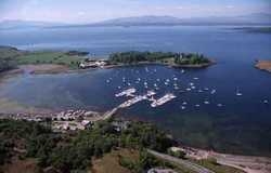 Imagen general del Hotel THE WIDE MOUTHED FROG. Foto 2