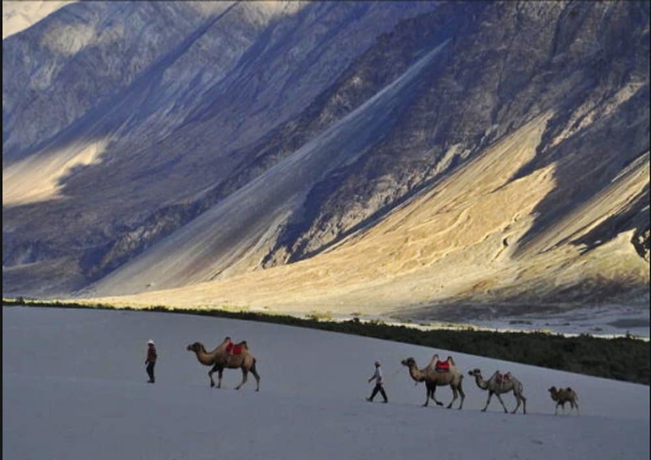 Imagen general del Hotel TIH Desert Oasis Camp - Hunder. Foto 3