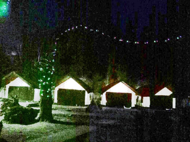 Imagen de la habitación del Hotel TIH Nubra Leisure Camp - Hunder. Foto 13