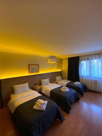 Imagen general del Hotel İTİL Palas. Foto 2