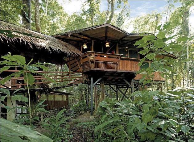 Imagen general del Hotel TREE HOUSE LODGE. Foto 1