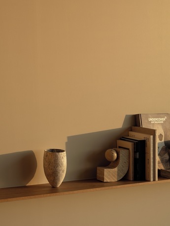 Imagen general del Hotel TRUNK HOTEL YOYOGI PARK. Foto 7