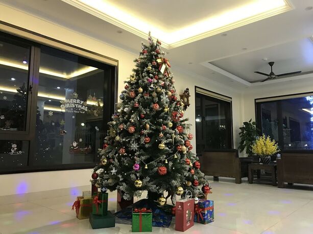 Imagen general del Hotel TRUONG AN HOTEL. Foto 5