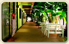 Imagen general del Hotel T-Room Guesthouse. Foto 2