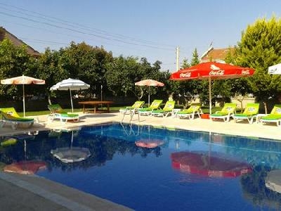 Imagen de la piscina del Hotel TUGAY. Foto 20