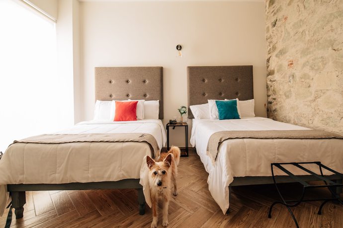 Imagen de la habitación del Hotel Tab&aacute;a Oaxaca. Foto 11