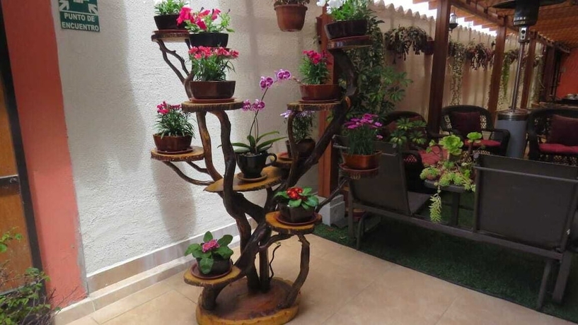 Imagen de la habitación del Hotel Tababela Land. Foto 14