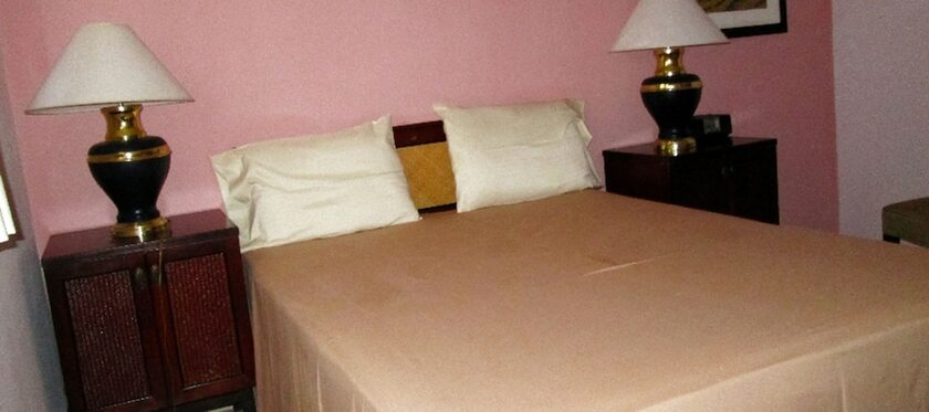 Imagen general del Hotel Tabarre\'s Palace. Foto 5