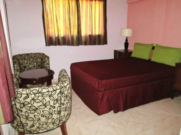 Imagen de la habitación del Hotel Tabarre\'s Palace. Foto 20