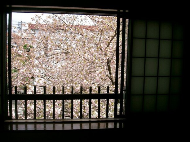 Imagen general del Hotel Tabino Yado Satsuki. Foto 13