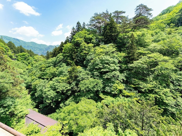 Imagen de la habitación del Hotel Tabist Shiobaraonsen Kashiwaya Ryokan. Foto 7