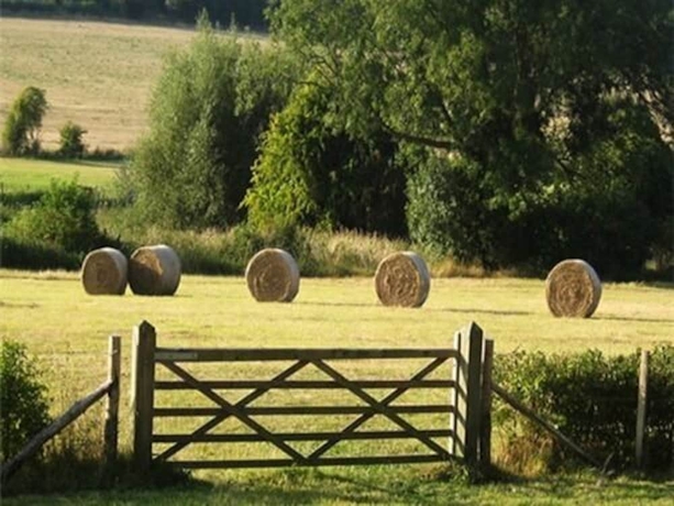Imagen de la habitación del Hotel Tabsfield B&B. Foto 8