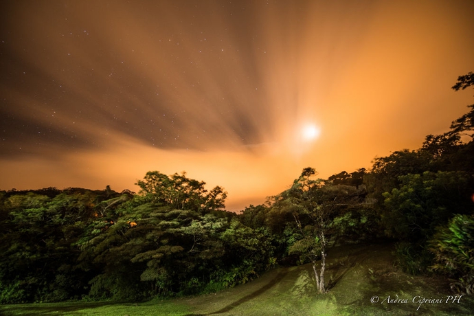 Imagen de los exteriores del Hotel Tabulia Tree and Villas. Foto 9