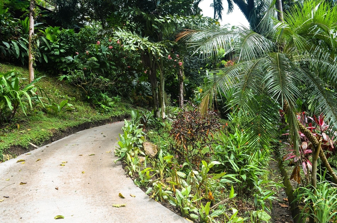 Imagen de los exteriores del Hotel Tabulia Tree and Villas. Foto 12