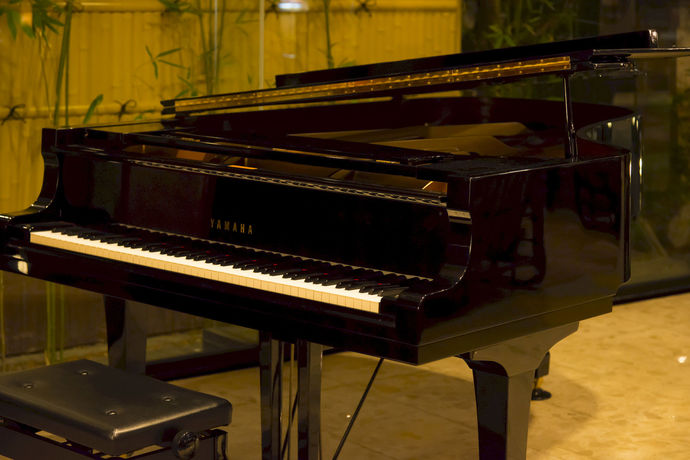 Imagen de los interiores del Hotel Tachibana Shikitei. Foto 10