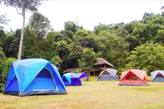 Imagen de los exteriores del Hotel Tadplacamp Organic Farm Stay. Foto 13