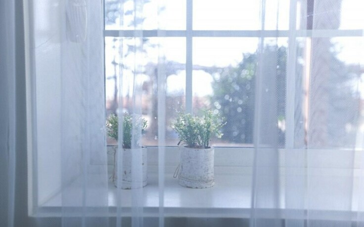 Imagen general del Hotel Taean Gajangjari Pension. Foto 9