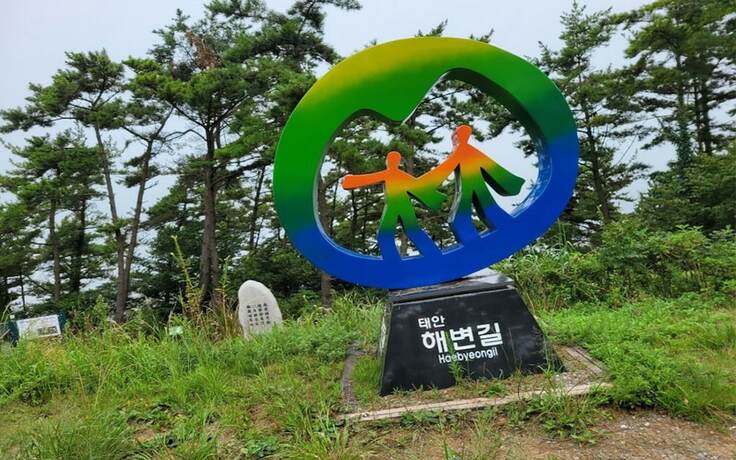 Imagen general del Hotel Taean Guest House Zen. Foto 12