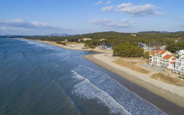 Imagen general del Hotel Taean Palm Beach Pension. Foto 2