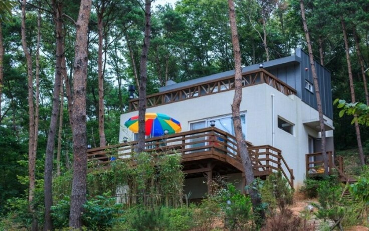 Imagen general del Hotel Taean Pine Wealth Pension. Foto 17