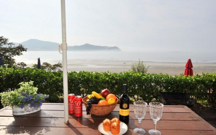 Imagen general del Hotel Taean Sand Hill Resort. Foto 19