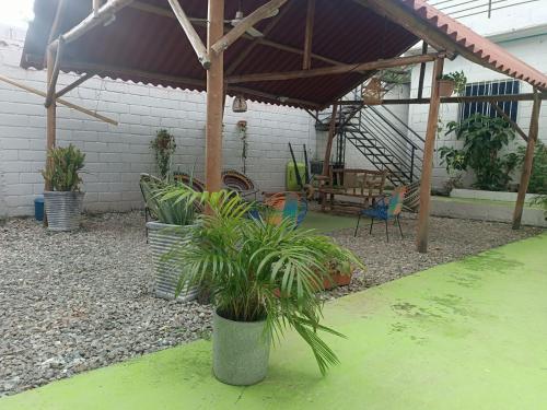 Imagen general del Hotel Taganga Tropical House. Foto 9