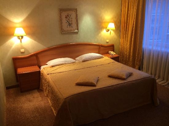 Imagen de la habitación del Hotel Tagil. Foto 2