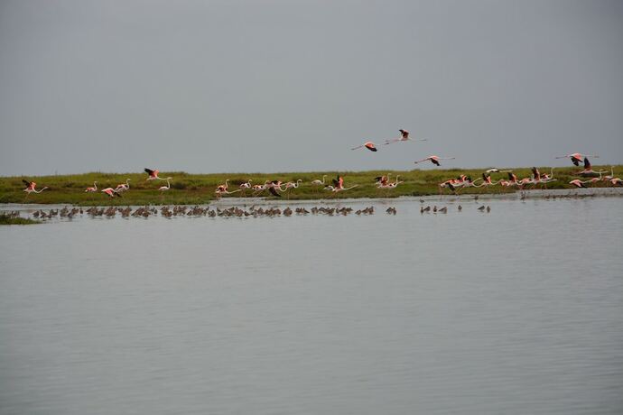 Imagen general del Hotel Tagus Marina - Houseboat. Foto 14