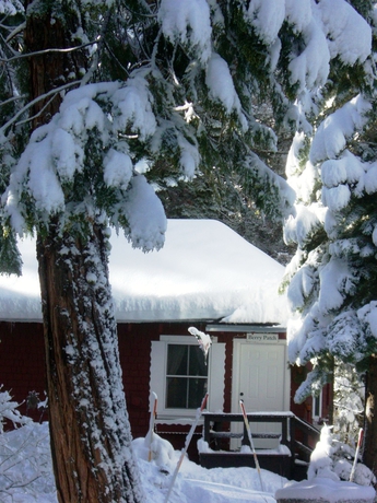Imagen de los exteriores del Hotel Tahoma Meadows B and B Cottages. Foto 8