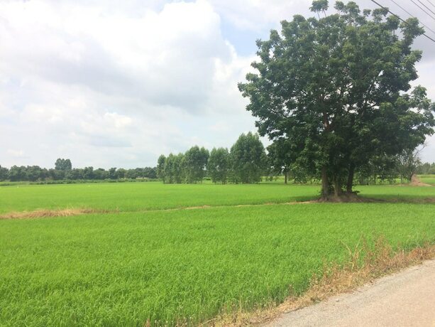 Imagen general del Hotel Tai Baan Resort. Foto 3