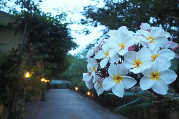 Imagen general del Hotel Tai Baan Resort. Foto 19