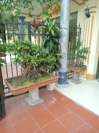 Imagen de la habitación del Hotel Tai Hoa Motel. Foto 11