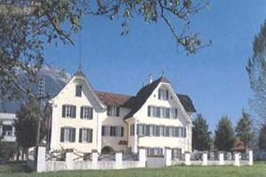 Imagen general del Hotel Tailormade KRONE Sarnen. Foto 1