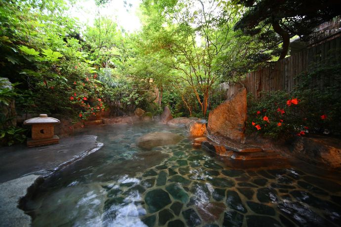 Imagen de los interiores del Hotel Taisenkaku. Foto 12