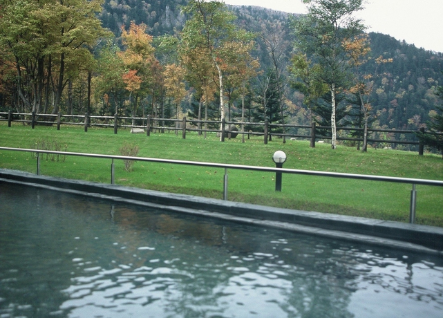 Imagen de la piscina del Hotel Taisetsu Onsen＆canyon Resort. Foto 14