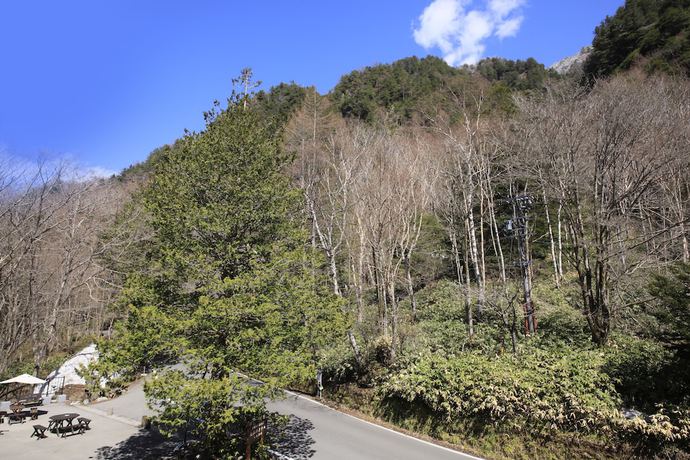 Imagen de la habitación del Hotel Taisyoike , Kamikochi. Foto 13