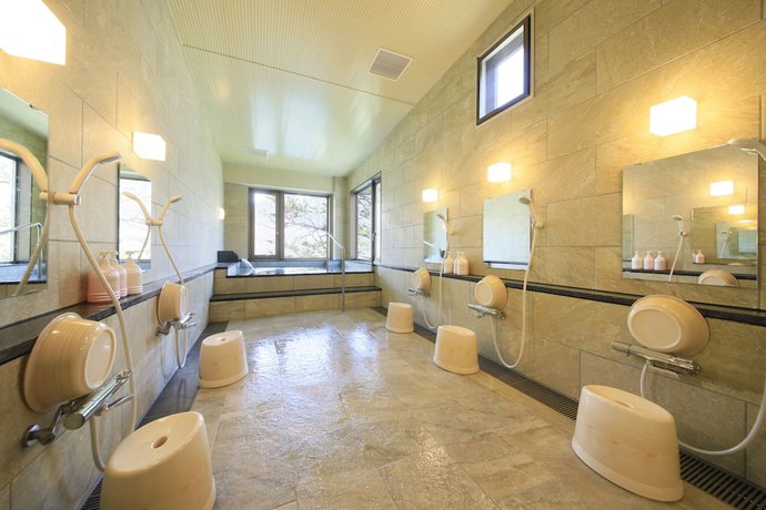 Imagen general del Hotel Taisyoike , Kamikochi. Foto 4