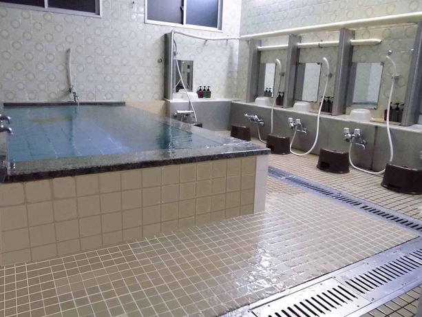 Imagen de la piscina del Hotel Taiyo. Foto 16