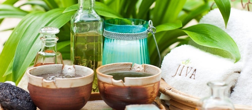 Imagen de la piscina del Hotel Taj Corbett Resort and Spa, Uttarakhand. Foto 19