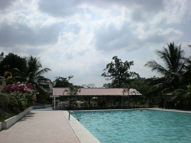 Imagen de la piscina del Hotel Taj&iacute;n. Foto 19