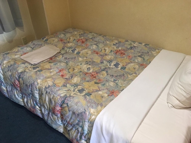 Imagen de la habitación del Hotel Tajimi Hills Riverside. Foto 6