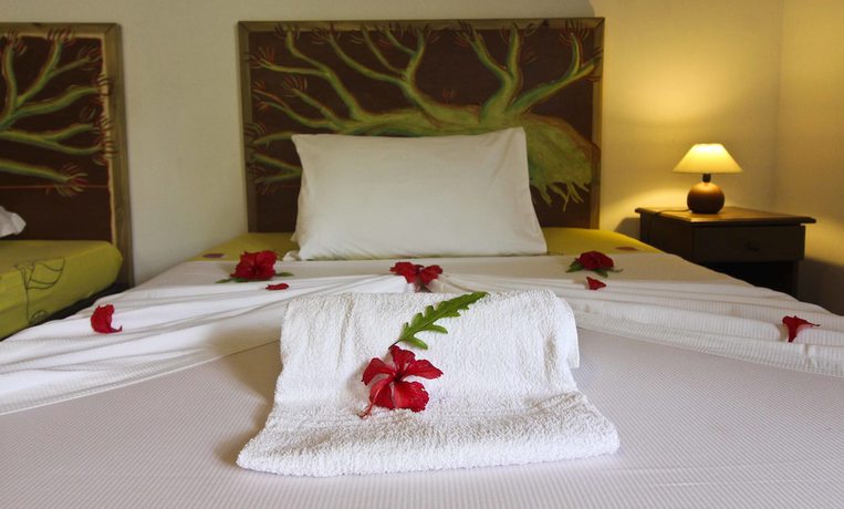 Imagen de la habitación del Hotel Takamaka Green Village. Foto 9
